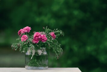 Summer bouquet of flowers in vase on blurred background