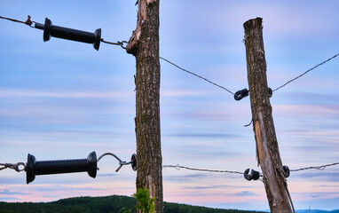 Electric fence isolated against evening sky. Evening pasture.