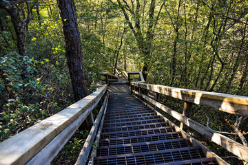Staircase leading down at the Tallulah Falls Gorge state park.  Hiking trail steps to Hurricane...