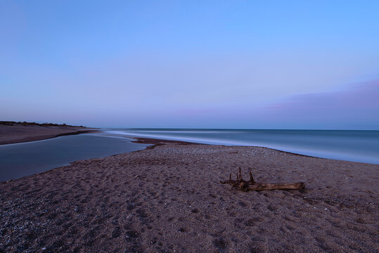 bois flott&eacute; &agrave; la plage de la Marende