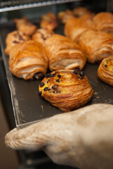 fresh croissant out of the oven