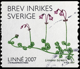 Linnaea borealis, plant named after Linnaeus, on postage stamp