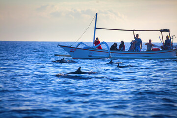 Holiday in Bali - Dolphin Beach Lovina Bali, Dolphin Jumping - Powered by Adobe