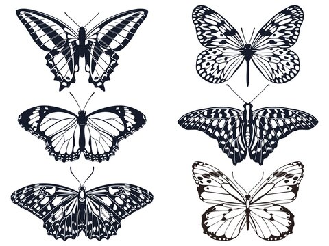 Collection of black butterfly icons with patterns. Vector illustration