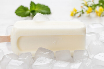 A delicious ice cream bar