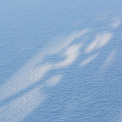 Sunny and snowy winter day in forest and marsh