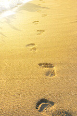 Beautiful Footprints in the golden sand by the sea in Spain, Palma de Mallorca