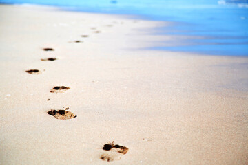 Footprints on Wilderness Beach, South Africa 