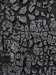 texture of the stone