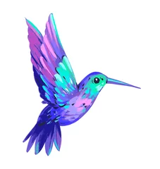 Tuinposter Kolibrie Kolibrie set. Vogel illustratie. Hand getekende illustratie. Geïsoleerd