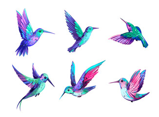 Obraz na płótnie Canvas Hummingbird set. Bird illustration. Hand drawn illustration. Isolated