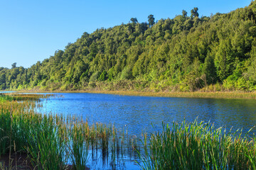 Lake Rotoma in the Rotorua area, New Zealand. Rushes and reeds grow in the water and native forest covers the hills