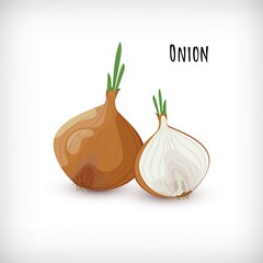 Onion whole and half with green leaves, roots in flat style. Lettering Onion.