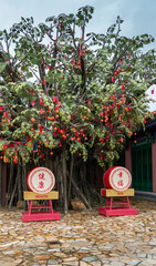 Blessing Drums and Bodhi Wishing Tree at Ngong Ping Village, Lantau, Hong Kong