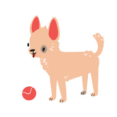 Cute dog of breed Chihuahua. Vector image. Dog with red ball