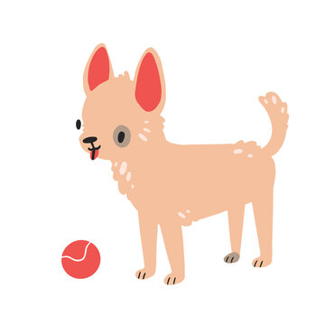 Cute dog of breed Chihuahua. Vector image. Dog with red ball