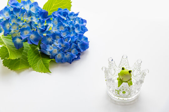 1 529 Best 梅雨イメージ Images Stock Photos Vectors Adobe Stock