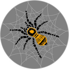 Tarantula spider, vector illustration