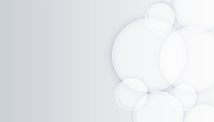 elegant white background with circles shape designs
