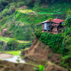 Rice terraces and village houses. Banaue, Philippines. Tilt shift