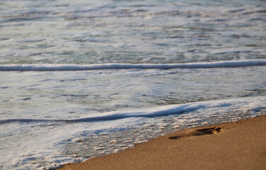 Footprints left in the sand on a beach in Algarve, Portugal.	
