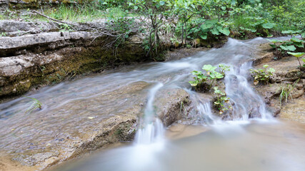Fototapeta na wymiar River in a green forest, streaming lake