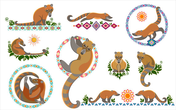 Coati Decoration of South America. Set for any kind of design.