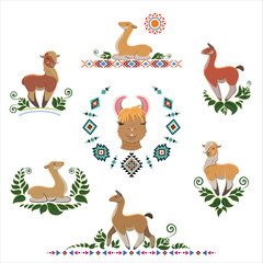 Alpaca Decoration of South America. Set for any kind of design.