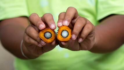 Red palm oil seeds on Child's hands