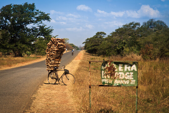 wood and bicycle by the road