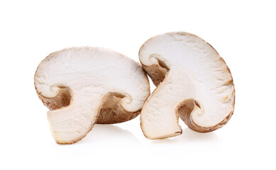 Shiitake mushrooms on white background