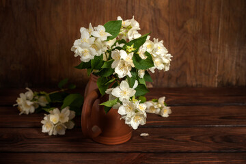 Tender jasmine branches in a jug on a wooden table against the wall. Still life.