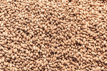 Group of fresh salted pistachios background.