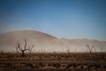stormy landscape in the desert