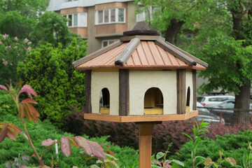 Bird feeder in the yards of houses