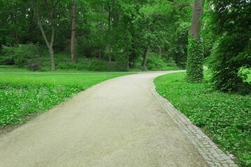 Paving stones in a city park