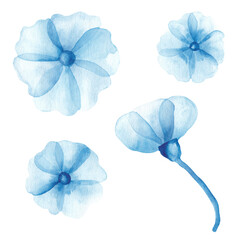 Set of watercolor blue poppy