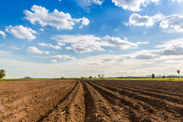Rows of soil before planting. Furrows row pattern in a plowed field prepared for planting crops in spring. view of land prepared for planting and cultivating the crop.