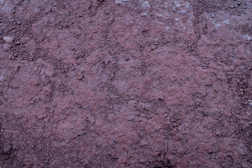 Close up of soil, purple shine
