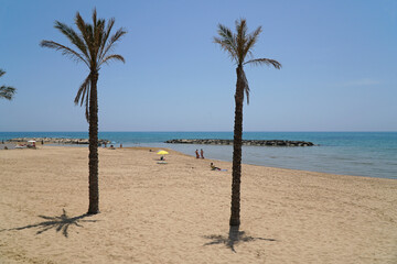 Beach with palm trees at Marina di Ragusa, Sicily, Italy