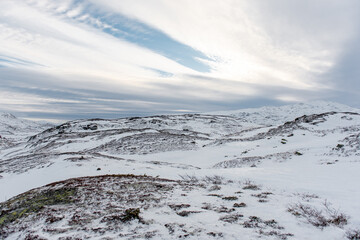 Winterlandschaft Norwegen