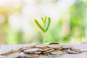 Fototapeta na wymiar Plant leaves growth up on row of saving coin stack on wood table with green blur nature background.money for business investment finance and banking concept.