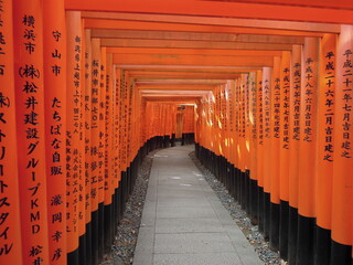 鳥居と道