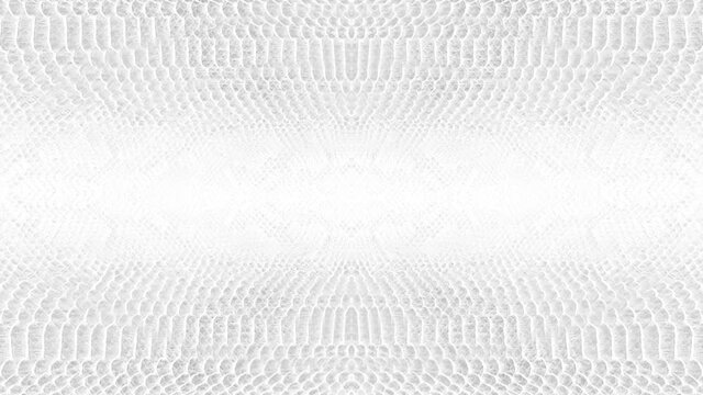 abstract parallax background texture of white snake skin python pattern stylish fashion animation