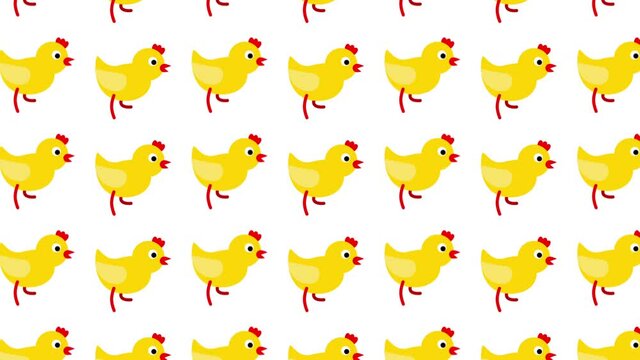 Seamless loop pattern with cartoon animated chickens. 4K background