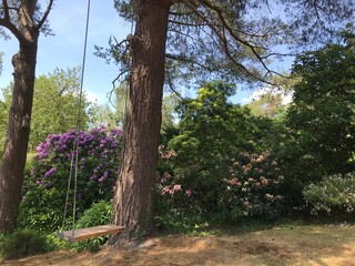 Fototapeta premium wooden swing in the garden 