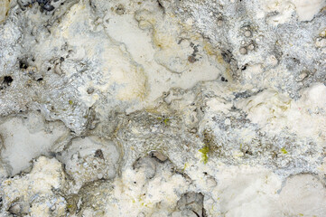 Sea water summer vacantion background.The beautiful bottom of the Indian Ocean with shellfish and corals.Beautiful abstract background / texture of underwater view of white sand bottom and blue water.