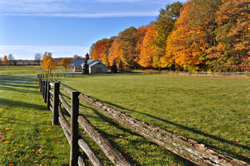 Autumn leaf color of a horse farm in Ontario, Canda.