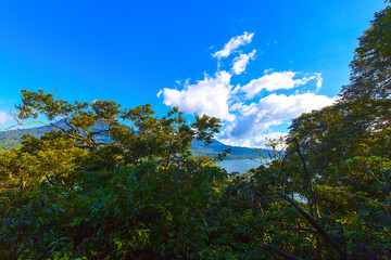 Obraz na płótnie Canvas Top view to Danau Buyan lake from mountain road, Bali, Indonesia