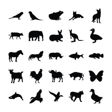 Filled Icon Design Of Animals